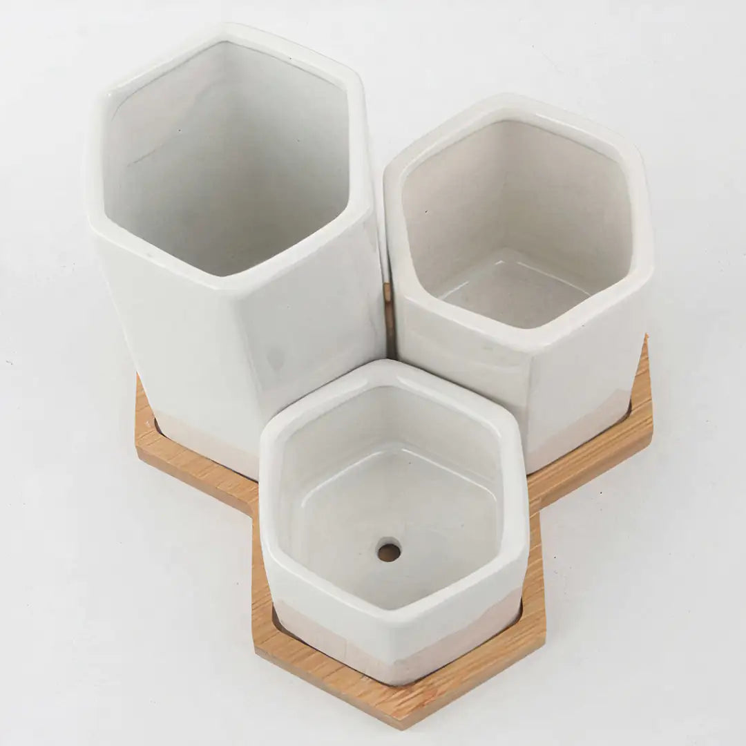 Jasmin Ceramic Pot Planter