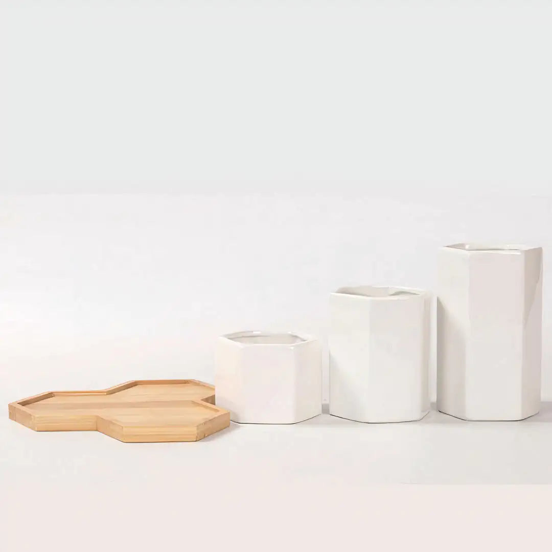 Jasmin Ceramic Pot Planter