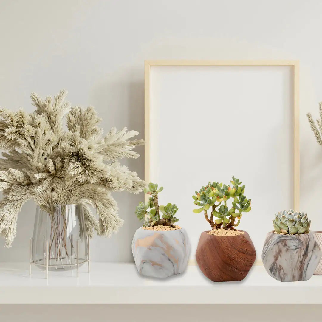 Natural Planters (Set of 3)
